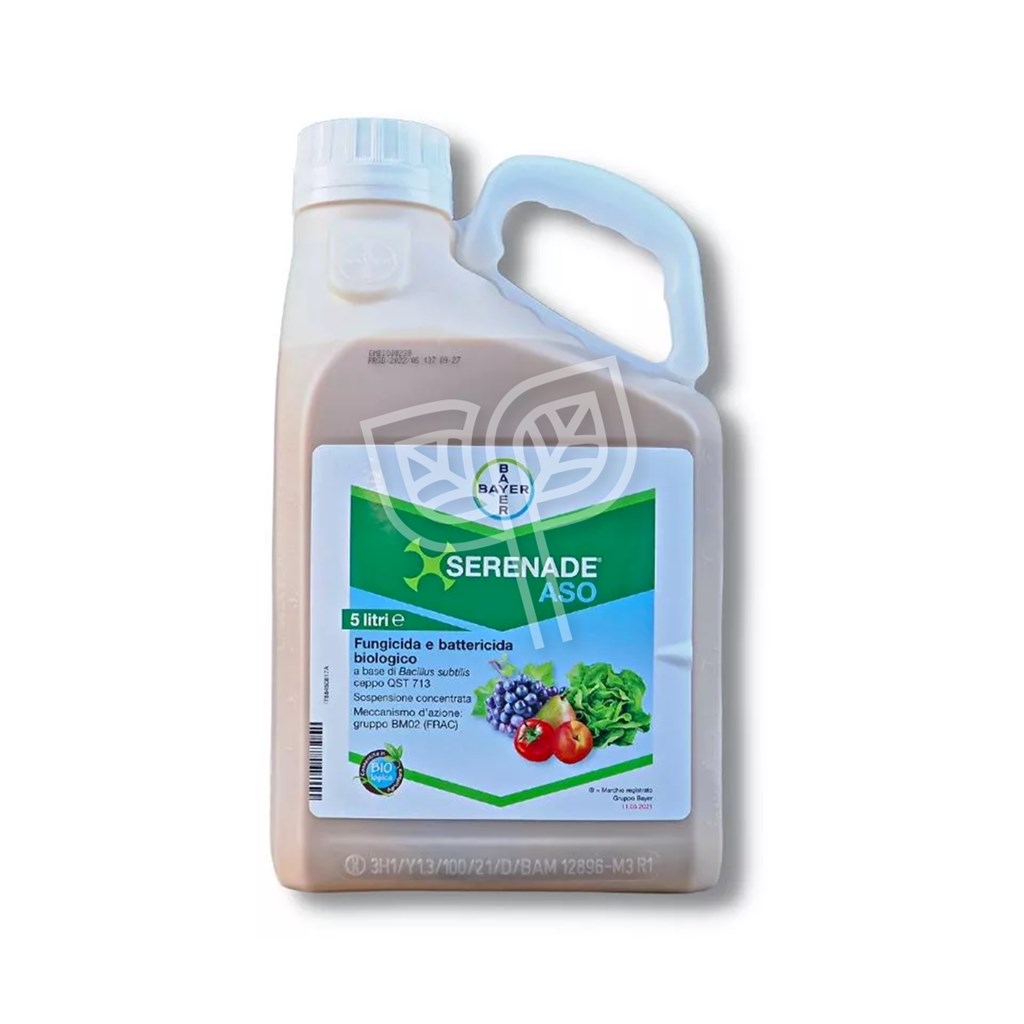 SERENADE ASO LT. 5  ^ BIO